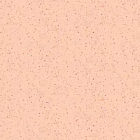 Fizz Pastel Orange Tone On Tone Spot 